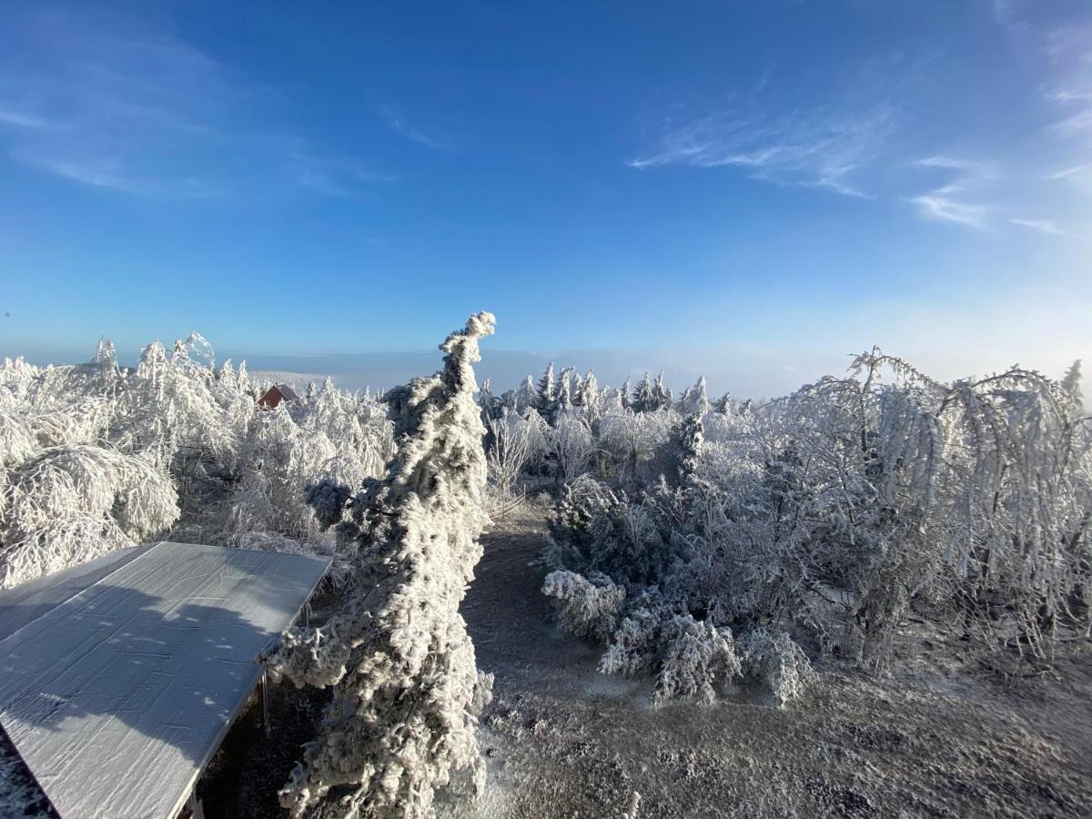 Hotel Lugsteinhof アルテンベルク エクステリア 写真